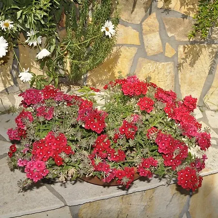 Apartmanhotel Mazis